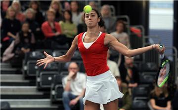 Fed Cup, Hrvatska - Srbija, Fett protiv Danilović