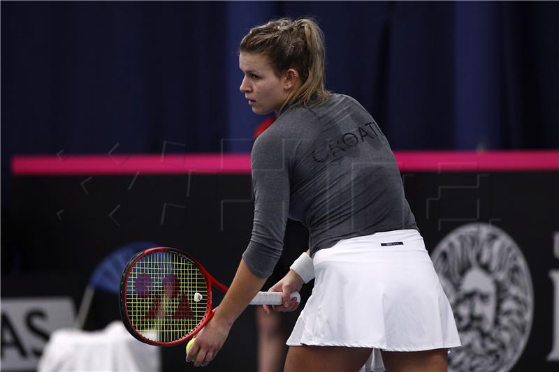 Fed Cup, Hrvatska - Srbija, Fett protiv Danilović