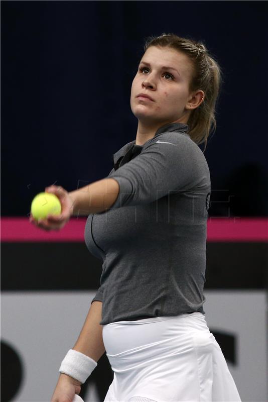 Fed Cup, Hrvatska - Srbija, Fett protiv Danilović